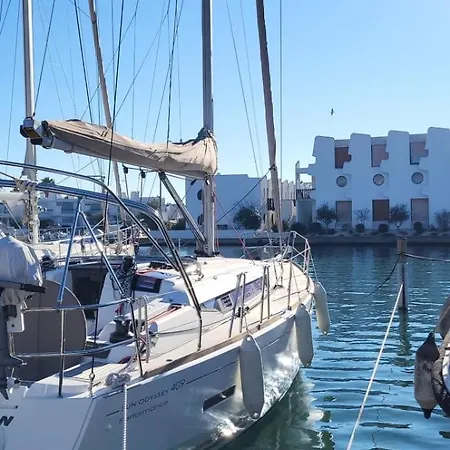 Marina Avec Vue Sur Les Bateaux ! *